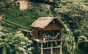 Paraiso Ahimsa